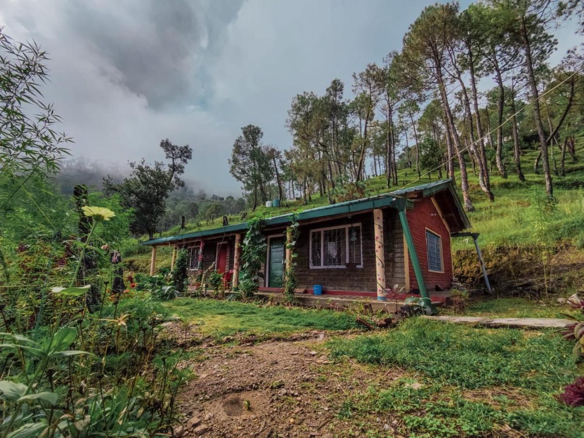 Zenoaks Homestay Almora Exteriör bild