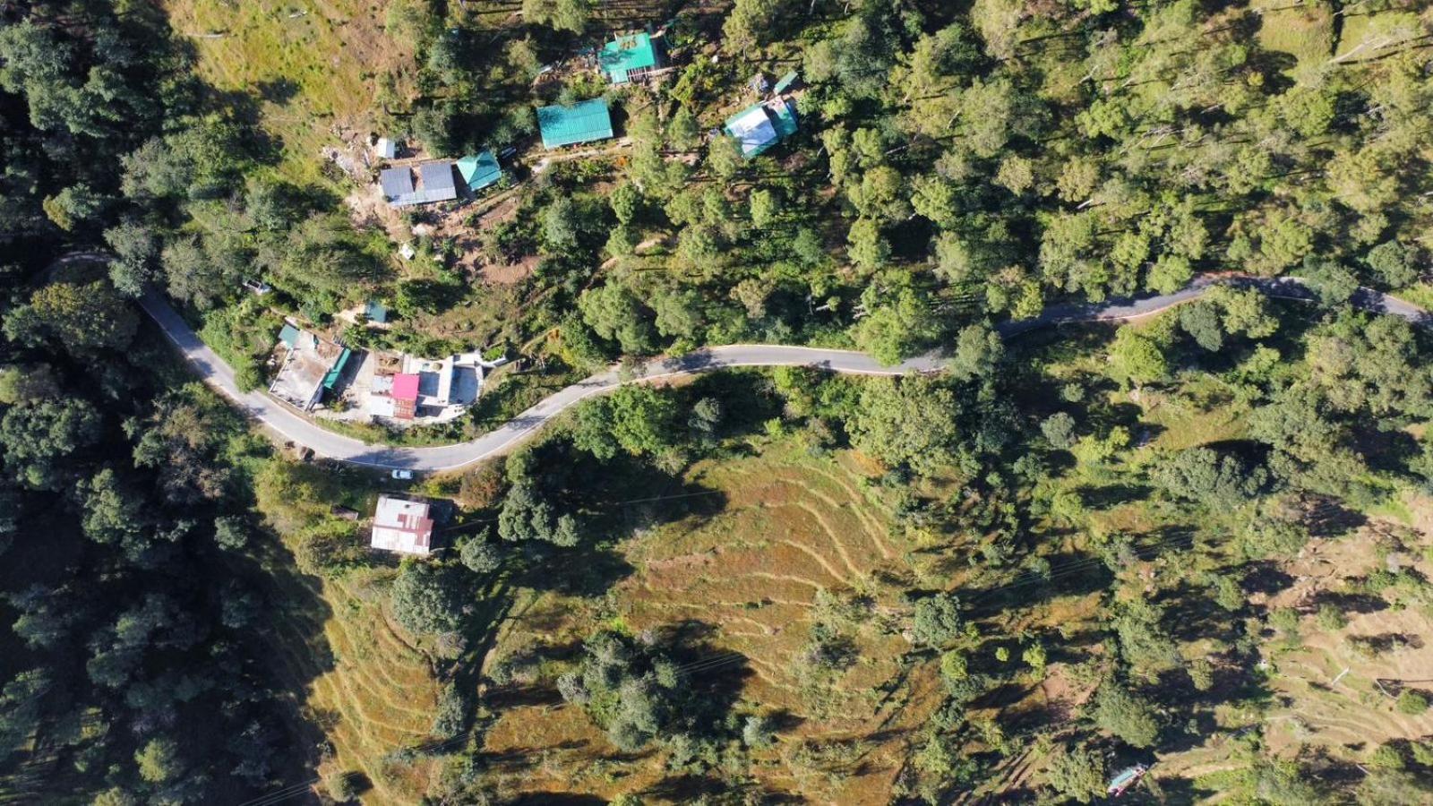 Zenoaks Homestay Almora Exteriör bild